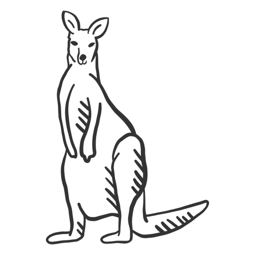 Canguro pata cola oreja doodle animal Diseño PNG