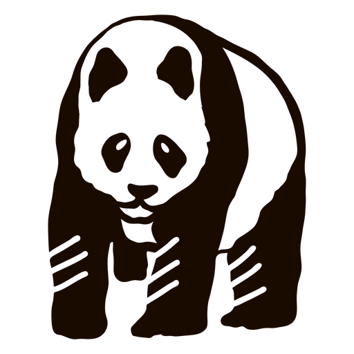 Panda spot orejero hocico gordo doodle animal Diseño PNG