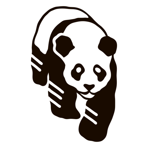 focinho Panda png