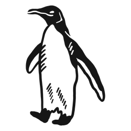 Pingüino ala pierna pico doodle pájaro Diseño PNG