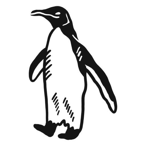 Penguin wing leg beak doodle bird
