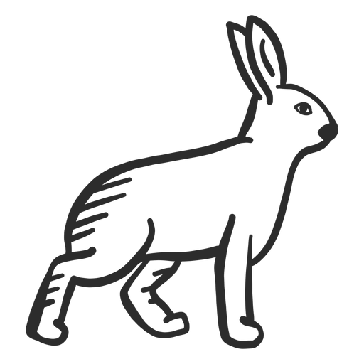 Conejo conejo oreja bozal doodle liebre Diseño PNG