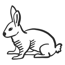 Conejo conejito hocico oreja cola doodle liebre Diseño PNG