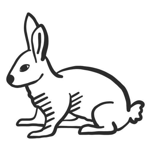 Rabbit bunny muzzle ear tail doodle hare PNG Design