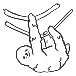 Animal do doodle da árvore do galho da preguiça Desenho PNG