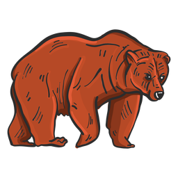 Bear fur grizzly colored sketch Transparent PNG
