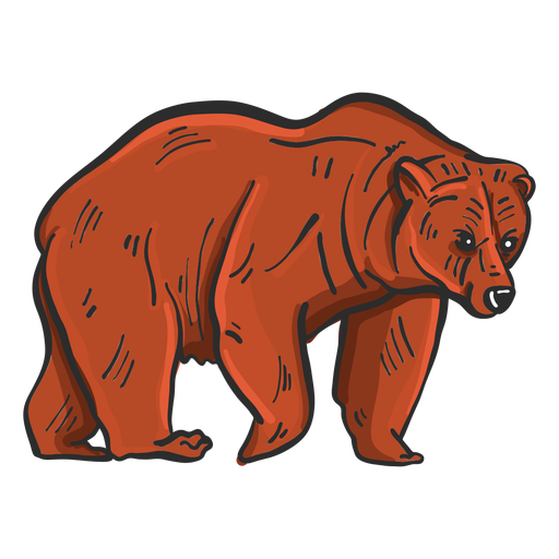 Bear fur grizzly colored sketch PNG Design