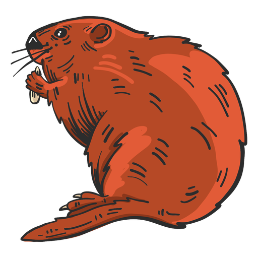 Beaver fur colored sketch PNG Design
