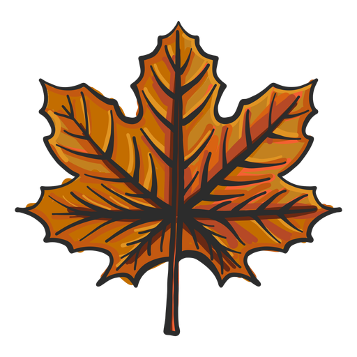 Leaf maple colored sketch