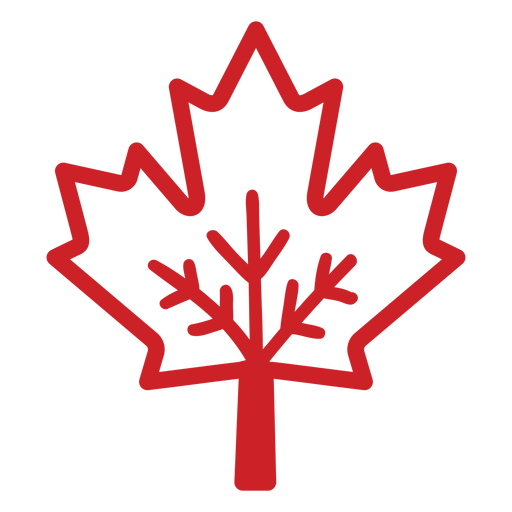 Maple leaf stroke PNG Design