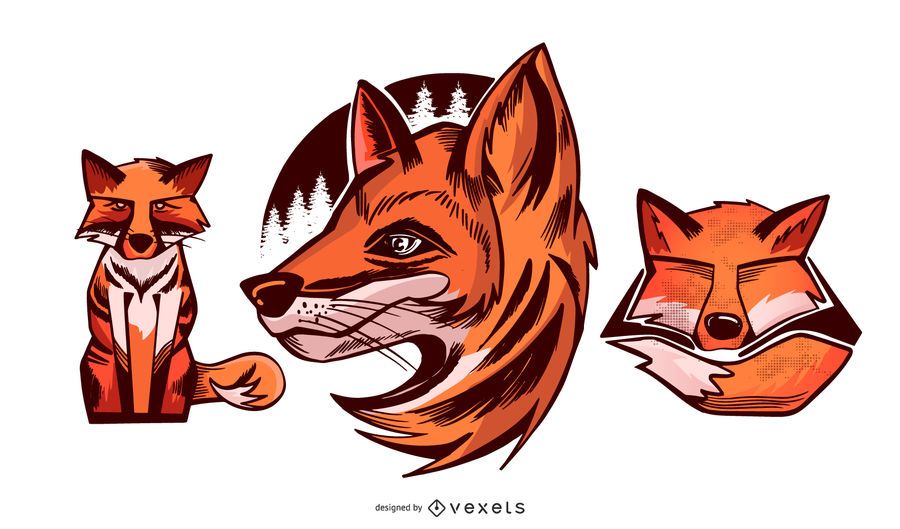 Fox illustration set Fox illustration set