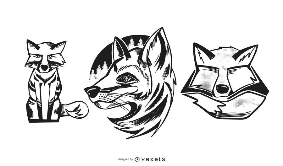 Fox Illustrations Design Set Fox Illustrations Design Set