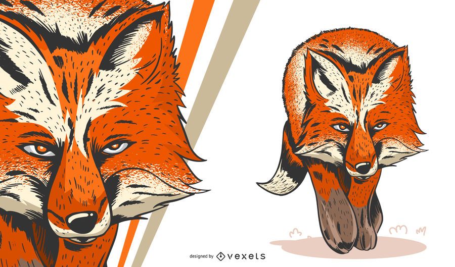 Fox artistic illustration Fox artistic illustration
