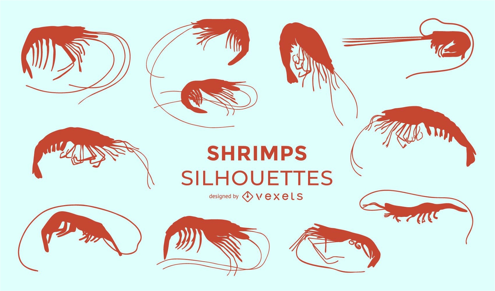 Shrimps Silhouette Sammlung