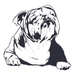 Dog buldog illustration PNG Design