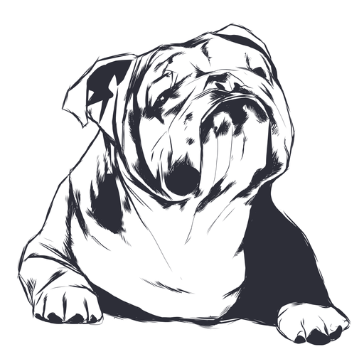 Dog buldog illustration - Transparent PNG & SVG vector file