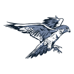 Ilustração de bico de asa de falcão Ilustração de bico de asa de falcão