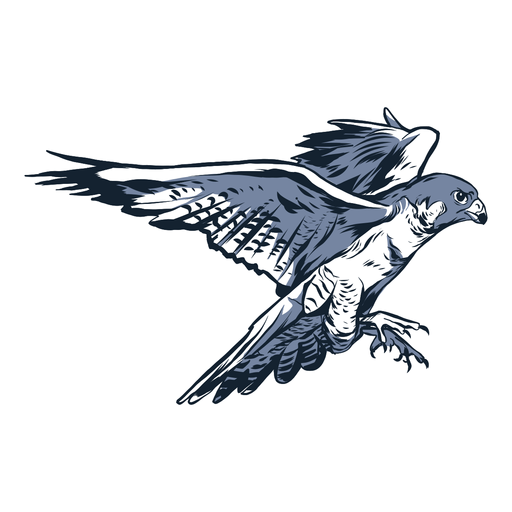 Falcon wing beak illustration PNG Design