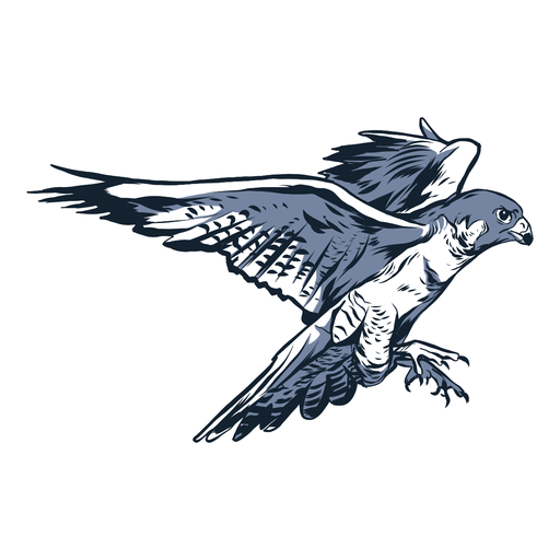 Ilustração de bico de asa de falcão Desenho PNG