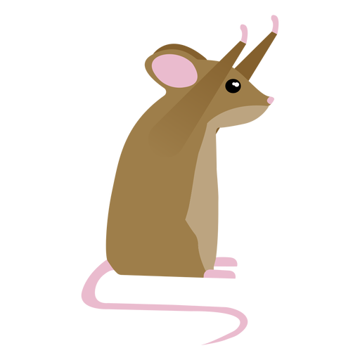 Postura do rato com cauda plana