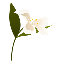 Pétalo de hoja de flor de campanilla plana Transparent PNG