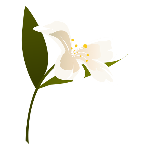 Snowdrop flower leaf petal flat PNG Design