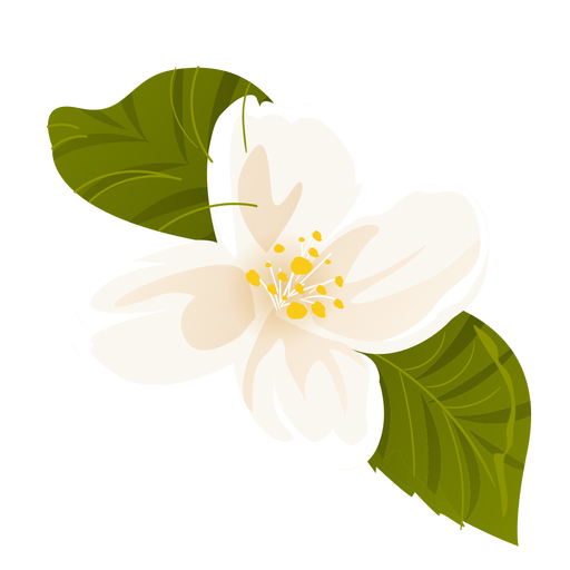 Schneeglöckchenblatt Blütenblatt flach PNG-Design