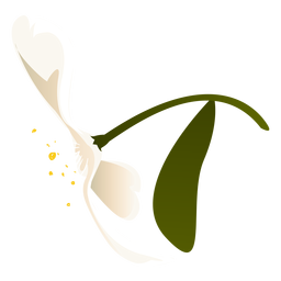 Schneeglöckchenblatt Blütenblatt Blume flach PNG-Design