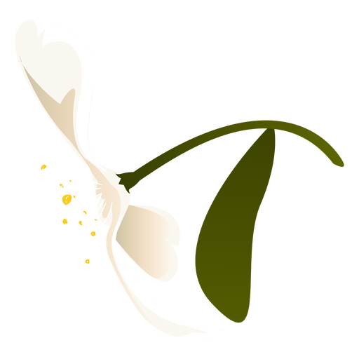 Snowdrop leaf petal flower flat PNG Design