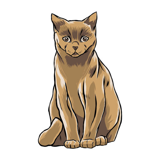 Cat sitting illustration animal PNG Design