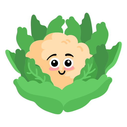 Cauli cauliflower flat PNG Design