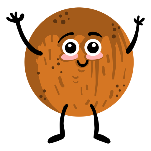 Coco coconut flat PNG Design