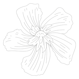 Línea de pétalos de flores Diseño PNG