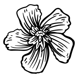 Trazo de pétalo de flor Diseño PNG