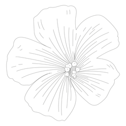 Línea de pétalos de estambre de flores Diseño PNG