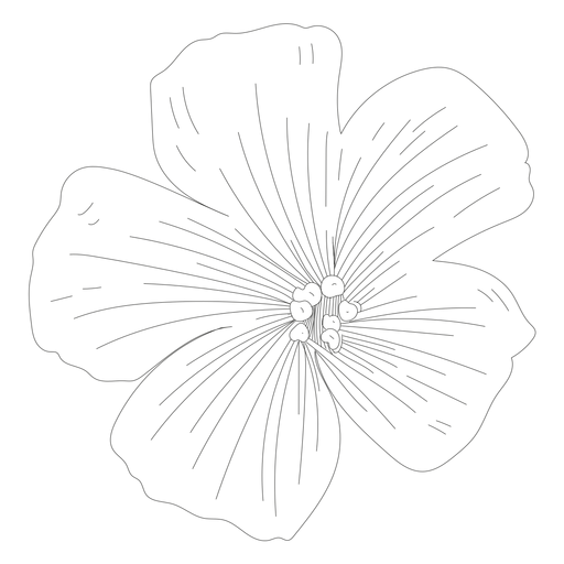 Download Flower Stamen Petal Line Transparent Png Svg Vector File