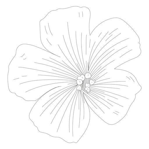 Línea de pétalos de estambre de flores Diseño PNG