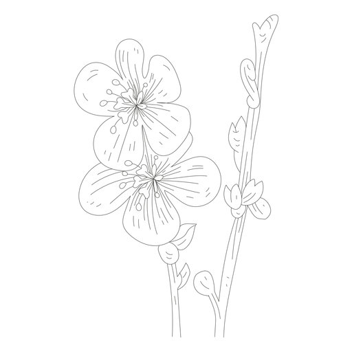 Blütenblatt Blütenblatt Stammlinie PNG-Design