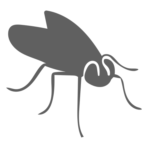 Fly wing antenna silhouette PNG Design