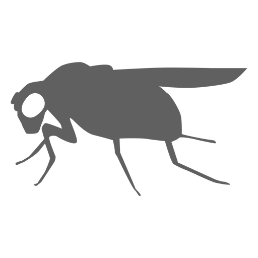 Silueta de ala de mosca Diseño PNG