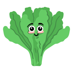 Salada de alface plana Desenho PNG