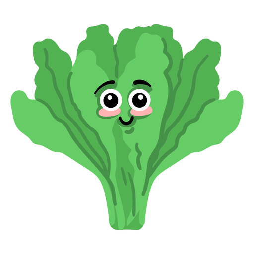 Lettuce salad flat PNG Design