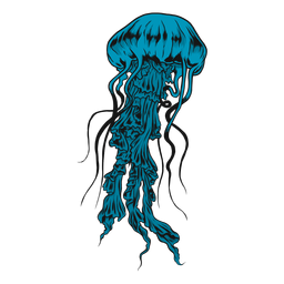 Medusa jellyfish illustration
