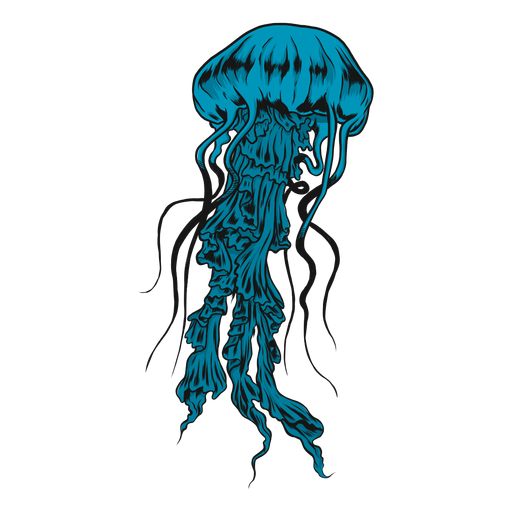 Medusa Jellyfish Illustration Transparent Png Svg Vector File