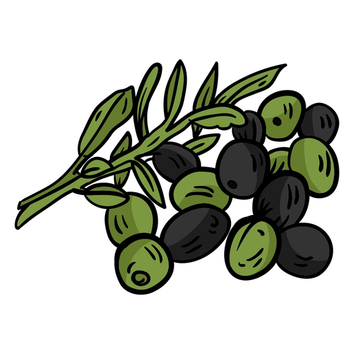 Hoja de olivo plana Descargar PNG/SVG transparente