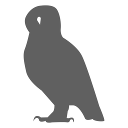 Búho búho águila pico silueta Diseño PNG