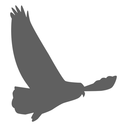 Búho búho águila ala silueta Diseño PNG