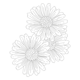 Línea de gineceo de flor de pétalo Diseño PNG