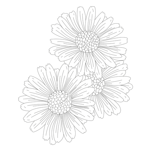 Blütenblatt Blume Gynäkium Linie PNG-Design