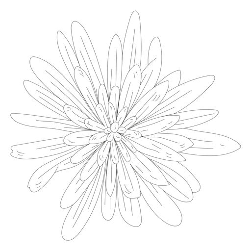 Linha da folha da flor da pétala Desenho PNG